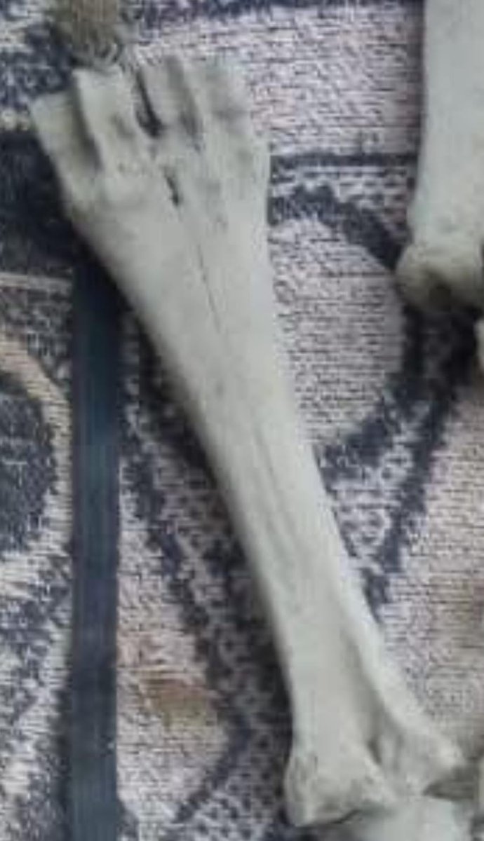 Divulgación científica tweet media