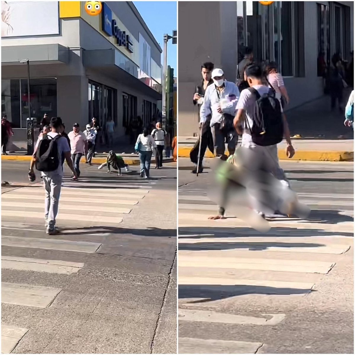 ARnoticias_Ch's tweet photo. #Therians | 🔴 Joven causa revuelo luego de patear a una persona identificada como "therian" que se movía por la calle como un cocodrilo; los hechos sucedieron en Tampico 🐊🐊
#ARnoticias #Tampico #Chihuahua #Therians #Patada #Cocodrilo #CUU https://t.co/ZHL5h5JFjk