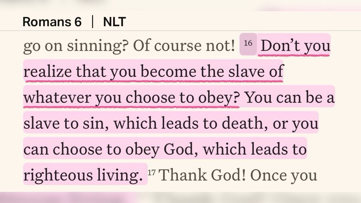 Holy__Bible1's tweet image. 