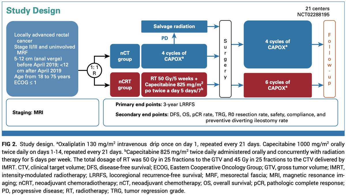 Oscar Tahuahua tweet media
