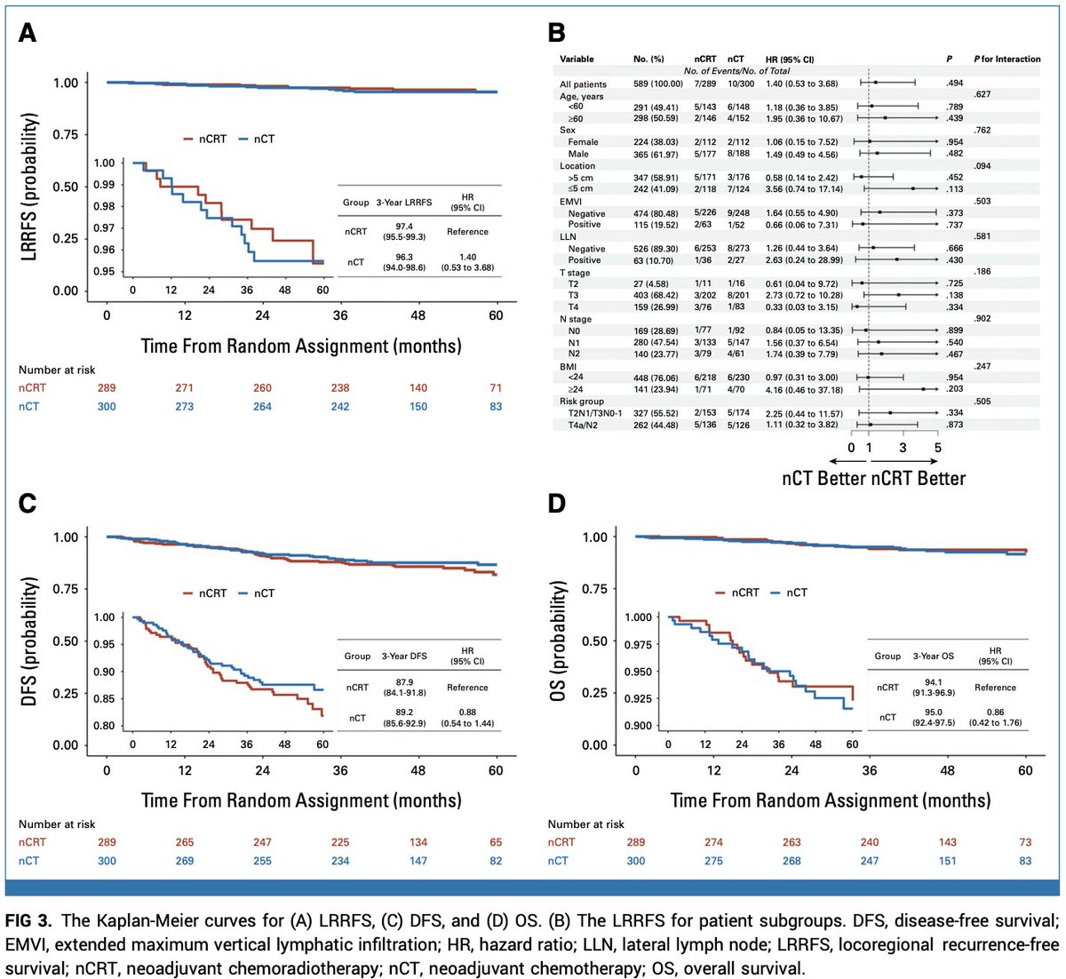 Oscar Tahuahua tweet media