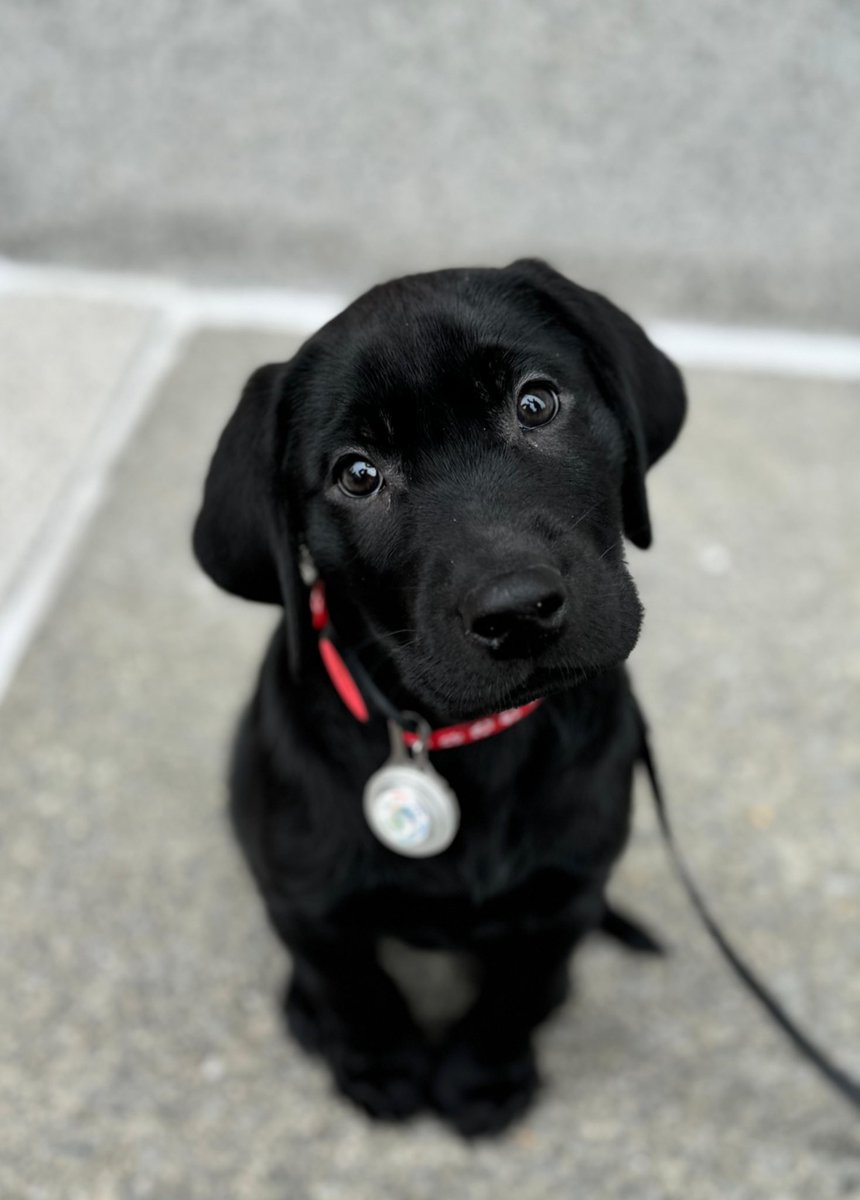 Eleanor Terrett tweet media