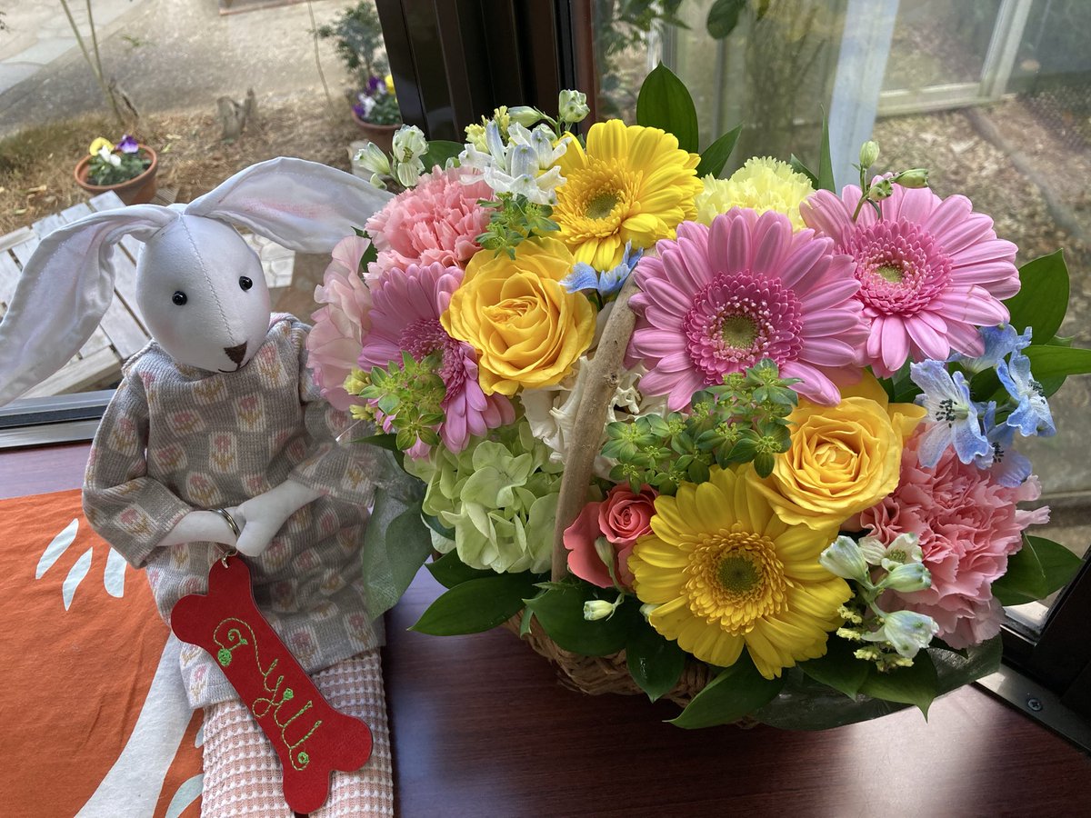 Agatha217's tweet photo. 少し前に誕生日を迎えました。
あっという間の66歳✨
内心びっくりしてます。

お孫1号がダミ声で、電話の向こうで、
はっぴばーすでーつーゆーを歌ってくれました。

この一年、私に、そして、あなたに、
いいことばっかりありますように✨
笑顔あふれる日々でありますように。 https://t.co/MlJbr146Gr