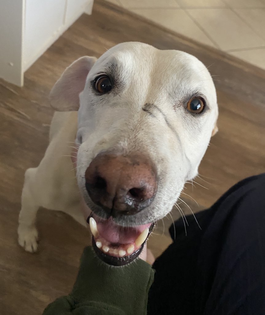 talia IS A STAR ✩ ✮ tweet media