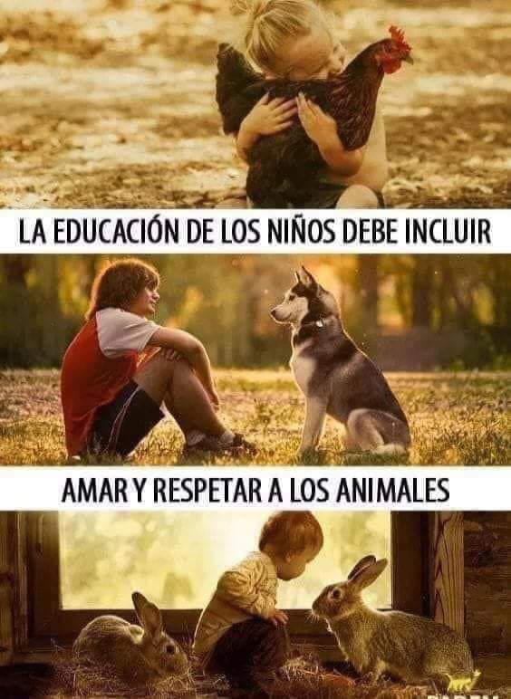 Crìa a seres empáticos, compasivos y solidarios!