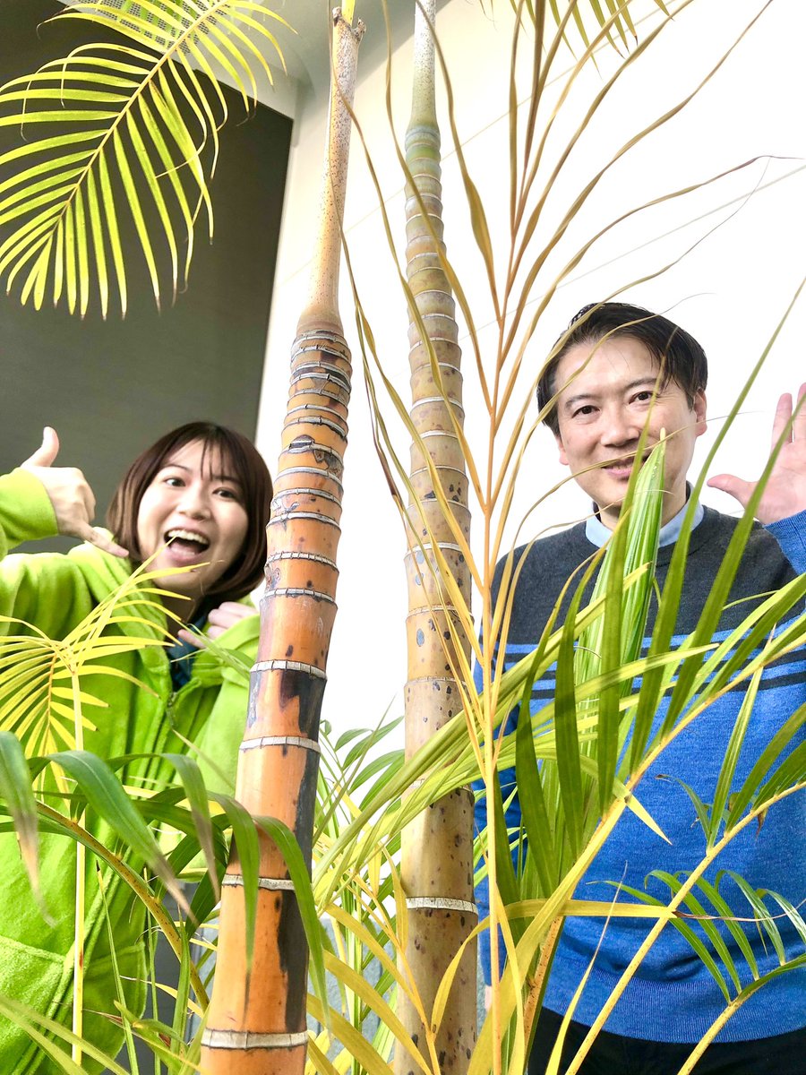 金曜ラジぱん🎤 テーマは〜 旅行エピソード✈️ 高校の修学旅行は九州
