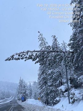 Welp… I-80 in the Sierra won’t be reopening anytime soon. Downed trees and powerlines from heavy snow are making it even more difficult to reopen the roadway. There’s no estimated time as of Thursday night.