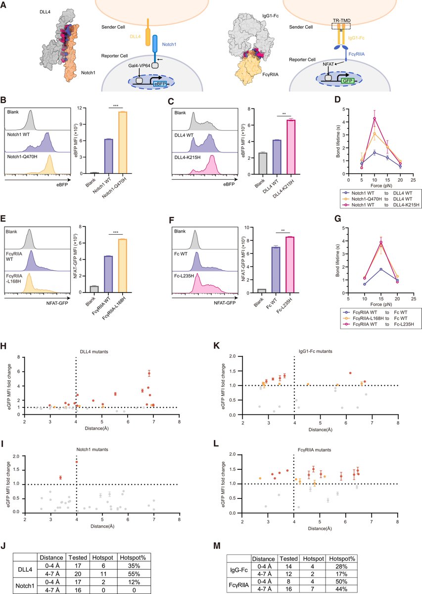 Waggoner Lab tweet media