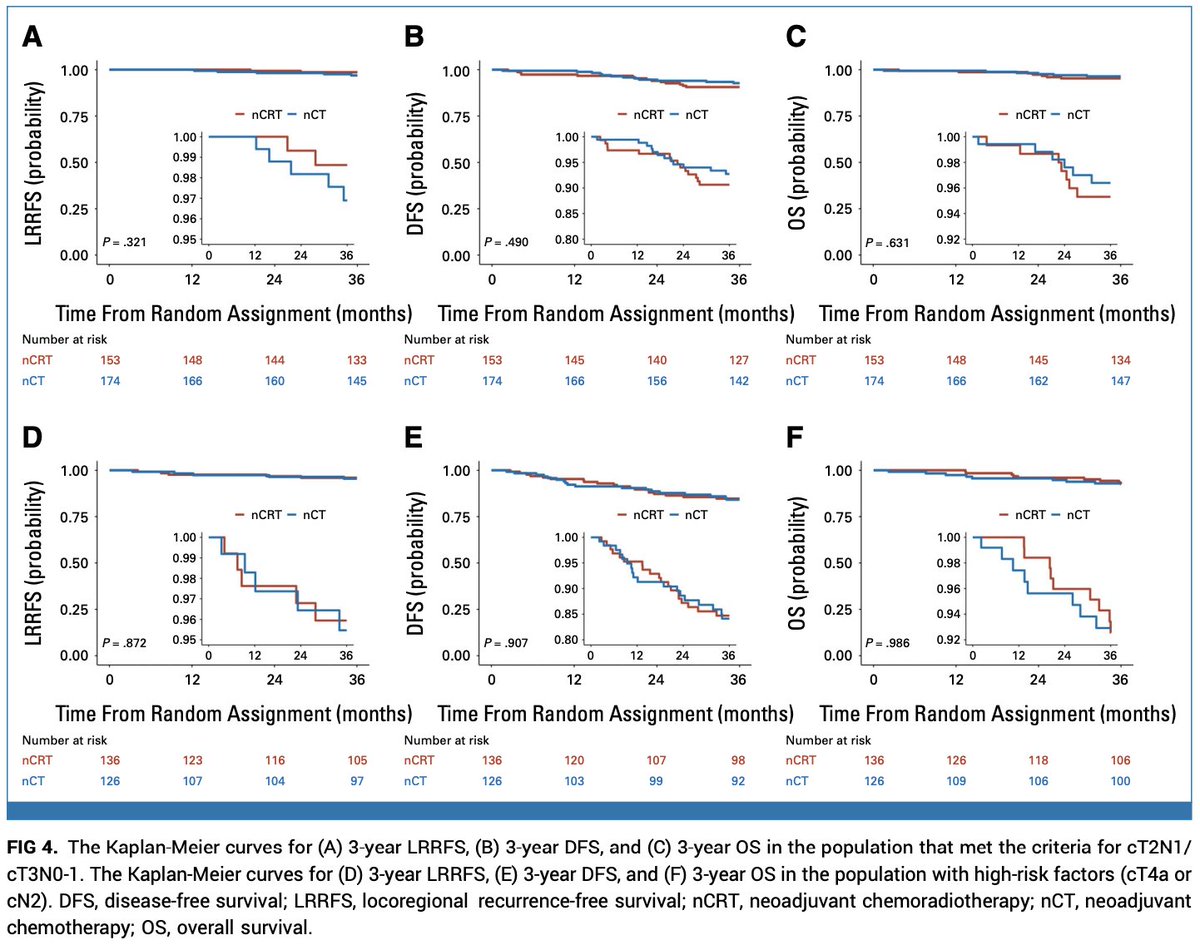 Oscar Tahuahua tweet media