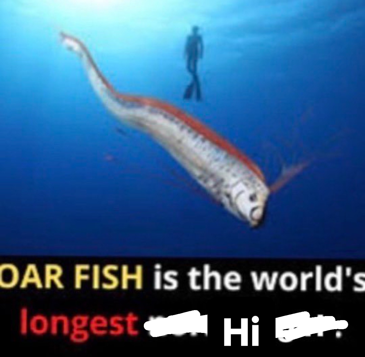 media from the camera roll of a closeted gay man (@slayvideos) on Twitter photo 