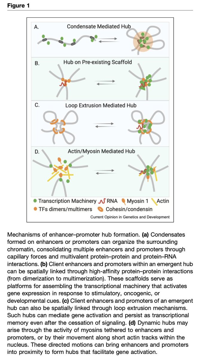 Dimple Notani tweet media