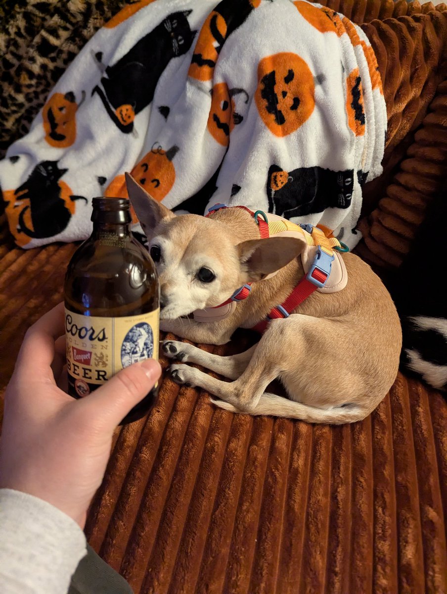 Hairy Harry tweet media