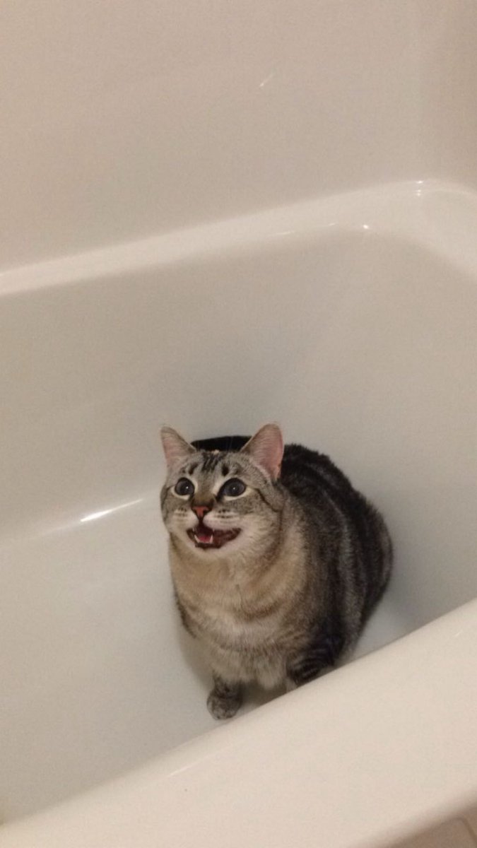 bailey 💋 tweet media