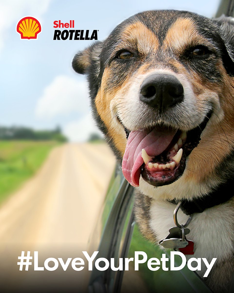 Shell Rotella tweet media
