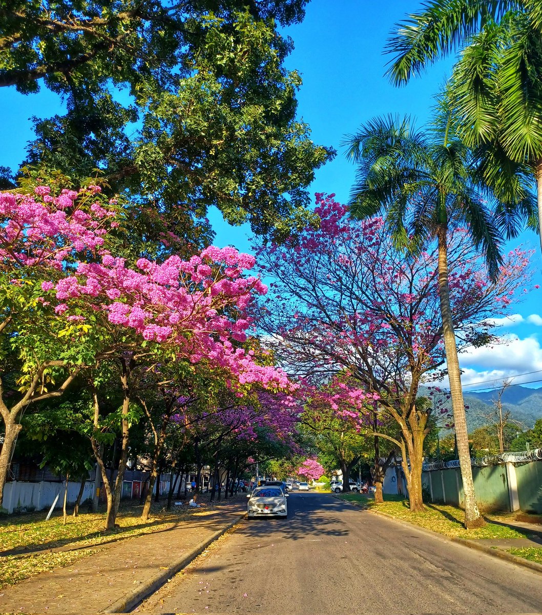 La Naturaleza de Jan Pedro 📸😍.