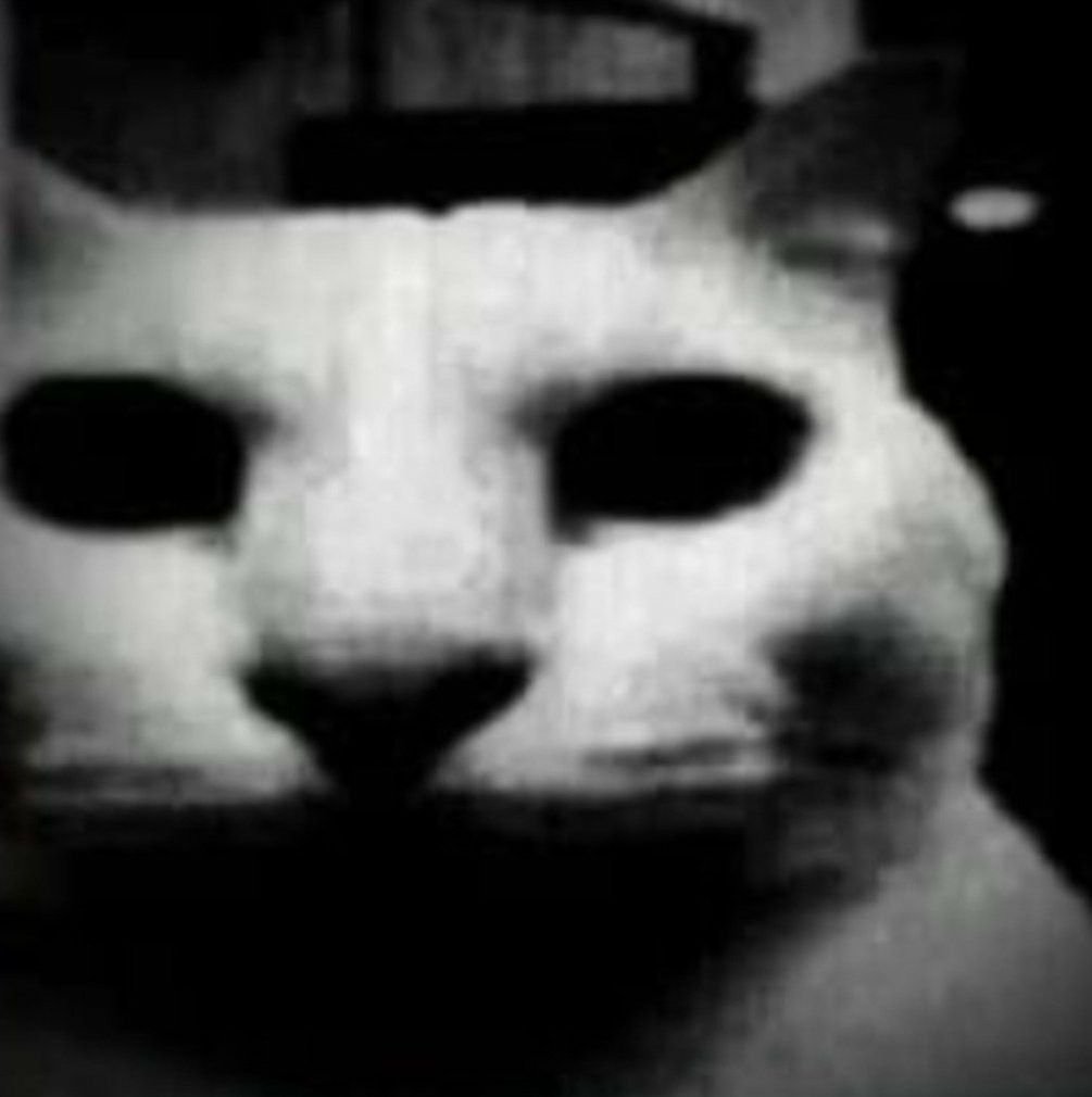 23🥳 la cosa se pone mas seria