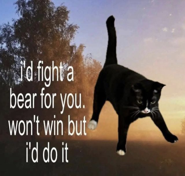 Pengin Alt tweet media