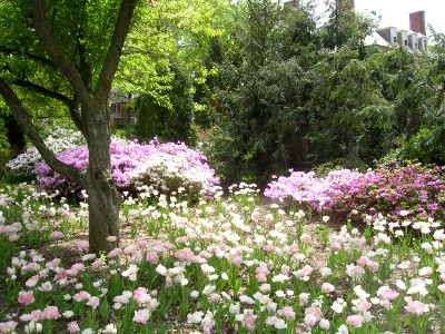 naturaholic's tweet image. dream house