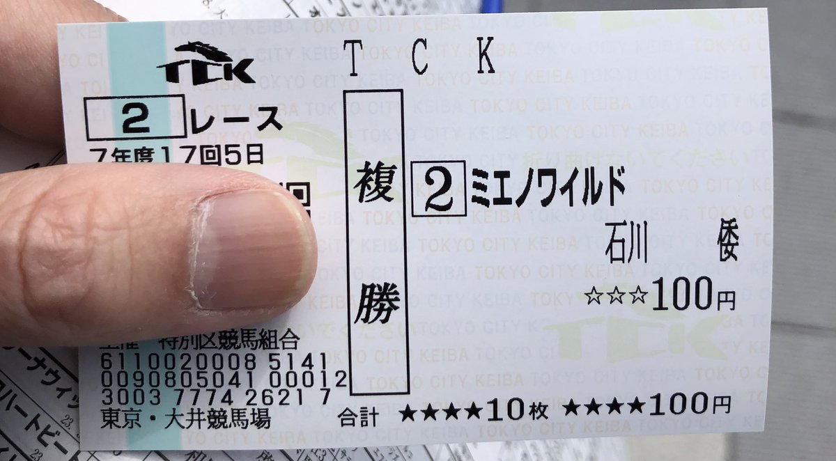 ノンフィクションの飛び込み方すごい。ネタ馬券ではノンフィクションっ