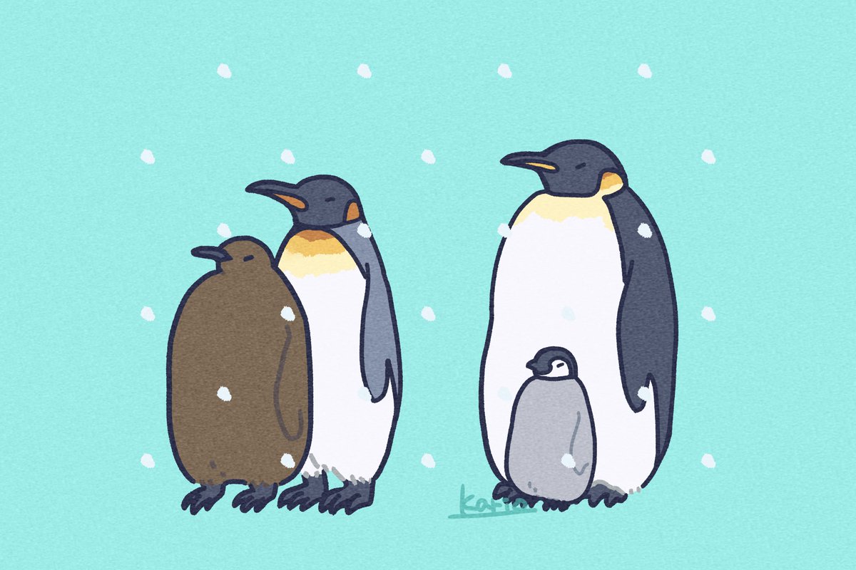 pen_Pentury's tweet photo. 雪の日
#ペンギン #イラスト https://t.co/Wk0ANWxKgB