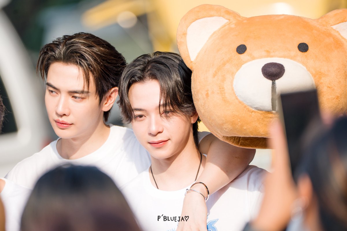 AomO 🐢🏀🐰🐺 (@AomO_MB) / Posts / X