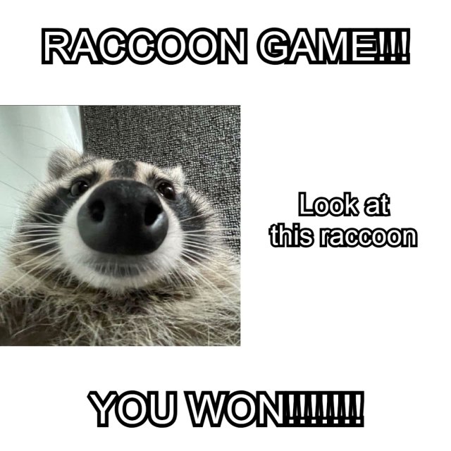 Why you should have a Raccoon tweet media