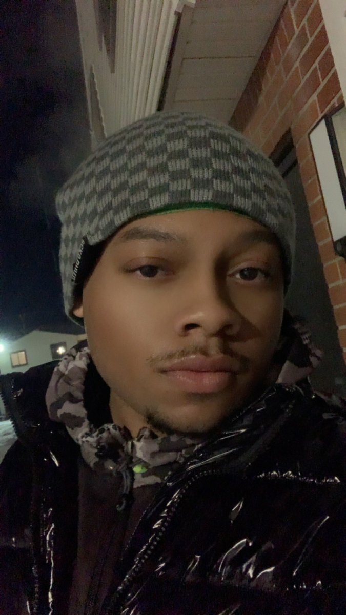 The Artist                        The Fan