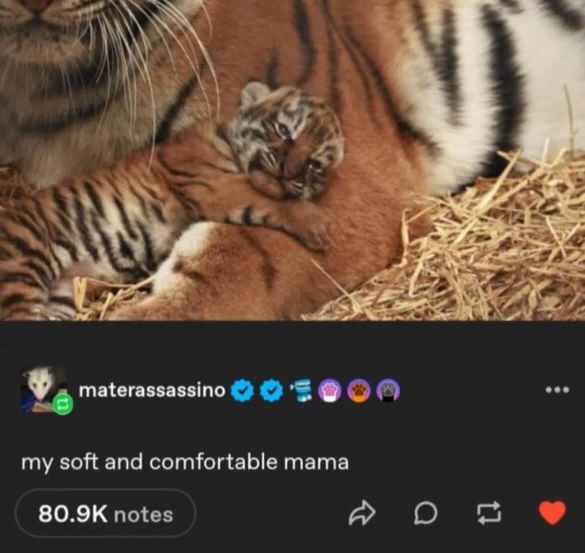 ShitpostGate's tweet photo. https://t.co/w0AxWwXFHe