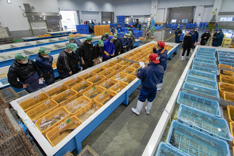 🐟宮城・石巻｜水産仲卸【ダイスイ】正社員募集
朝6時、市場で魚を仕入れ、目利きと処理で価値を高める“質で勝負する仲買”。体力とスピードが必要、未経験OK。寮あり・賞与年2回。
流通の最前線で本気で成長したい方へ。
☞ job.fishermanjapan.com/job/3601/