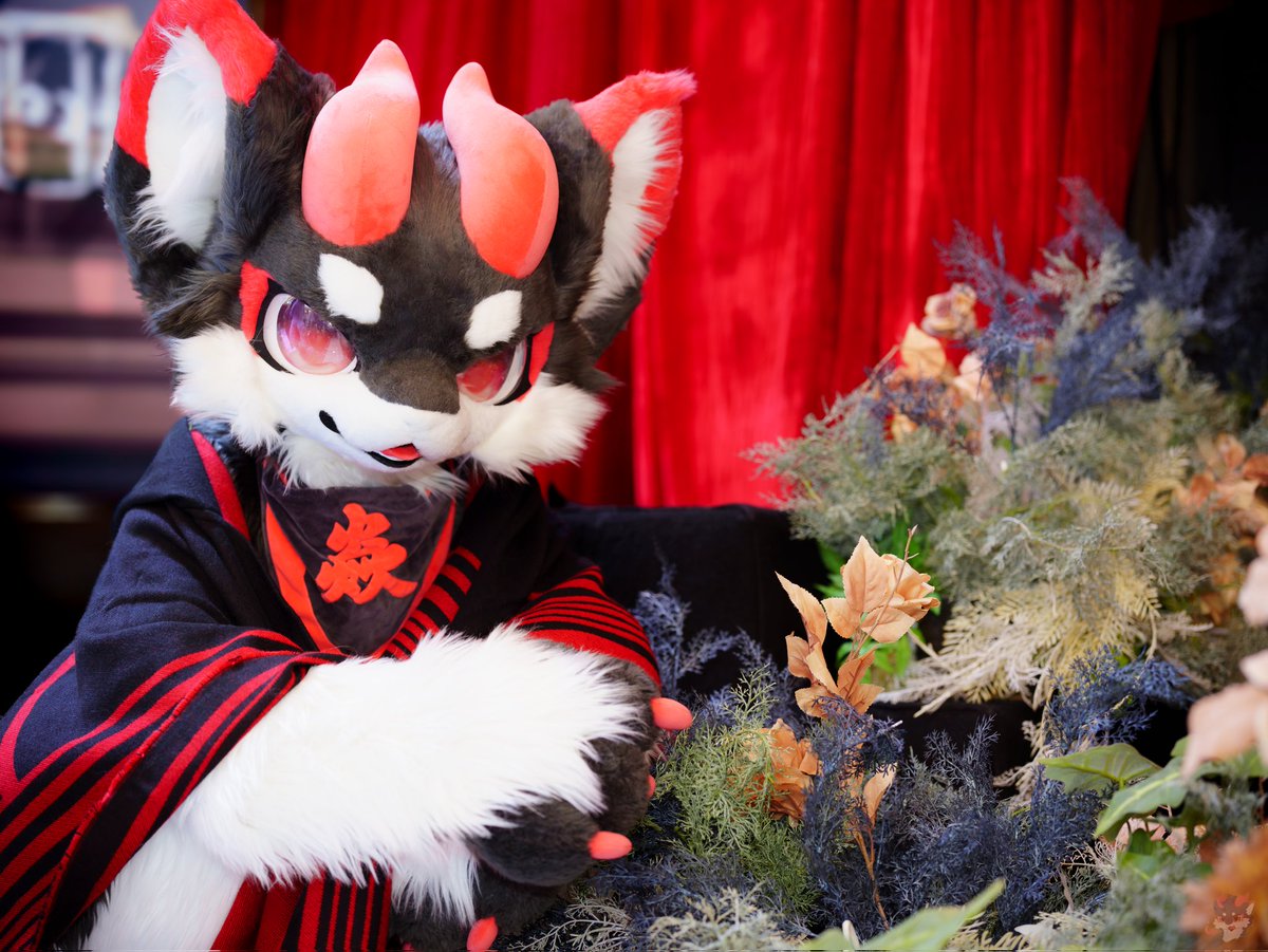 黑小焱 tweet media