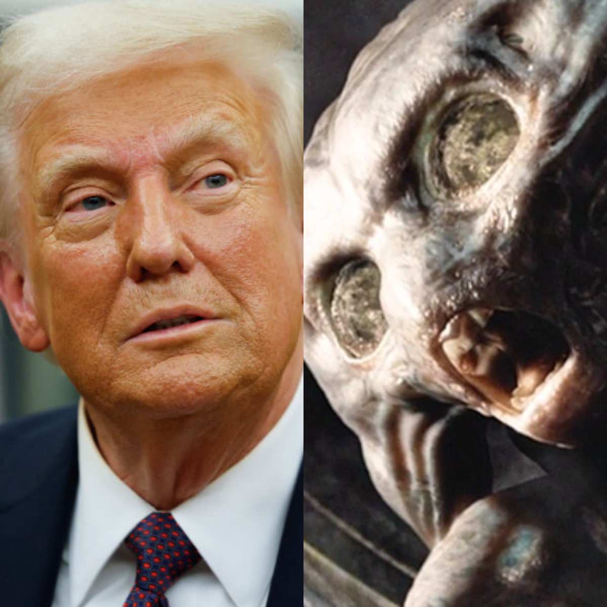 Urgente de último momento: Palabras de Donald Trump.

“Basado en el enorme interés demostrado, instruiré al Secretario de Guerra y a otros Departamentos y Agencias pertinentes a comenzar el proceso de identificar y hacer públicos archivos del Gobierno relacionados con vida