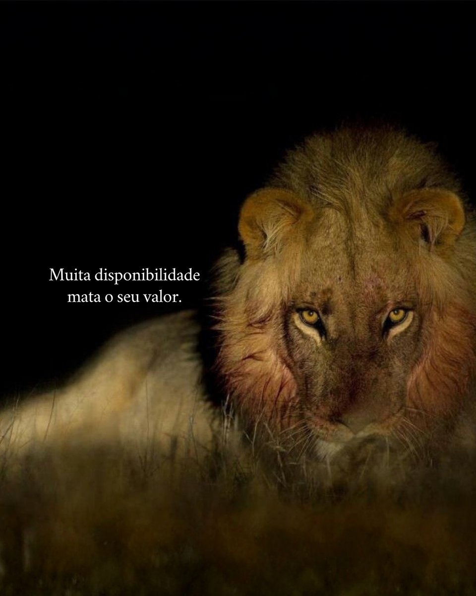 filosofia de poder (@mensagemdepoder) on Twitter photo 