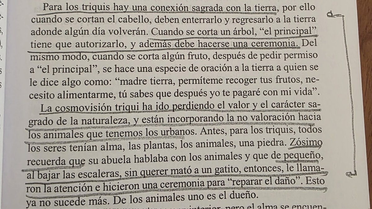 Marte G. Ferrer tweet media