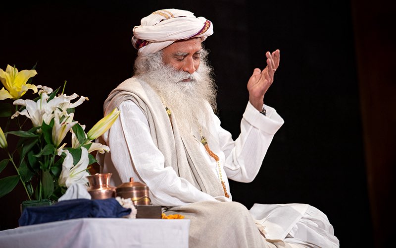 If who you are is clearly established within yourself, what people say will not matter. #SadhguruQuotes