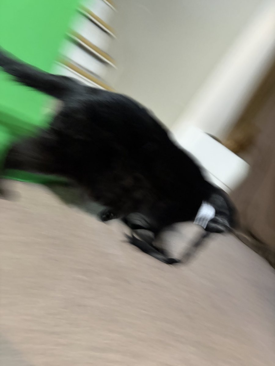 Audrey Fizzy tweet media