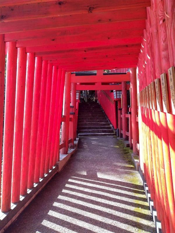 ItecsCorp's tweet photo. ２０２６年が始まりもうすぐ２か月が経ちますね。
今年の年始は、弊社役員２名が太鼓谷稲成神社へ参拝に行って参りました⛩
今年一年も活気ある年となるよう精進してまいります💫
 
#企業公式相互フォロー #太鼓谷稲成神社 #津和野 #2026年 #IT企業 #周南市 https://t.co/1eewdzC7RF