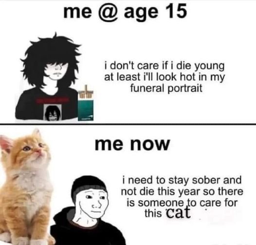 ShitpostGateway (@shitpostgate) on Twitter photo 