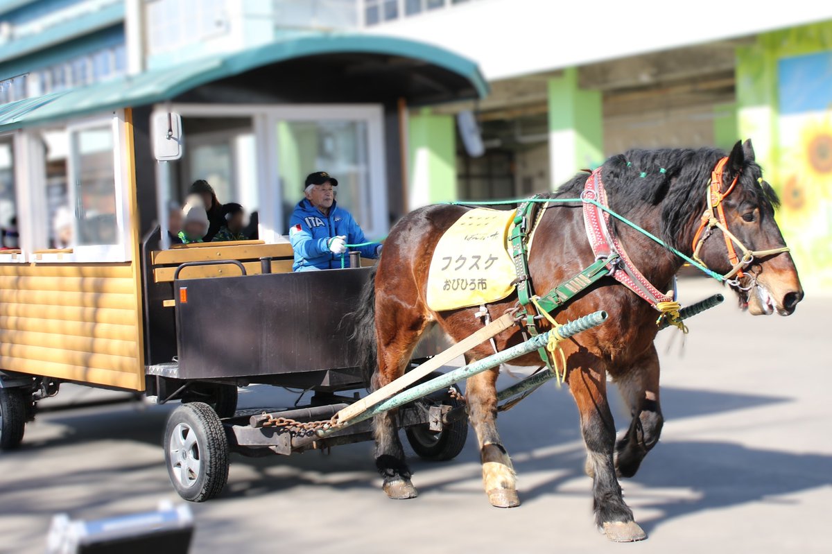 本日、ひまわり幼稚園の子どもたちが #帯広競馬場 に来場。#フクスケ