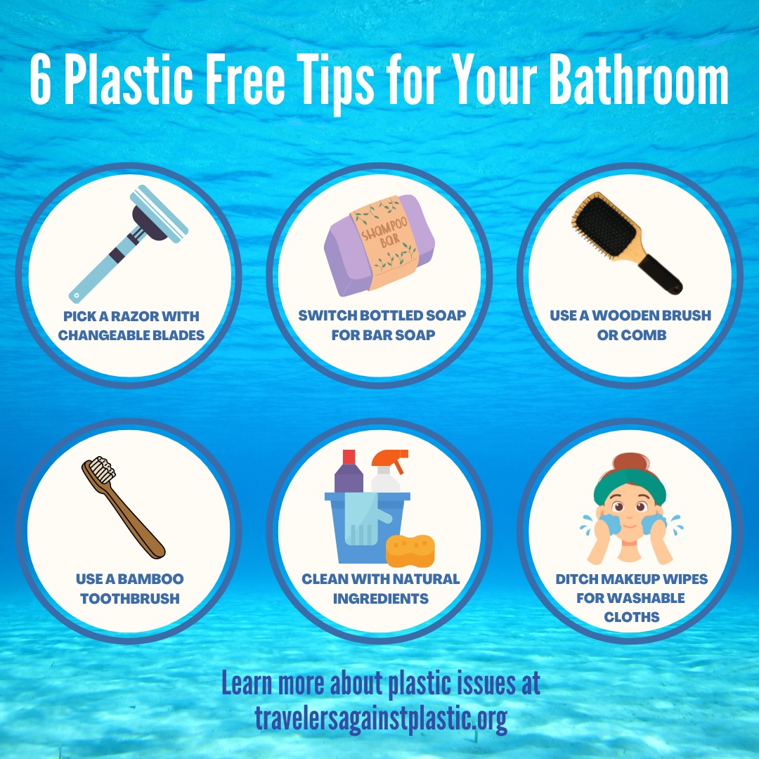 seaturtleweek tweet media