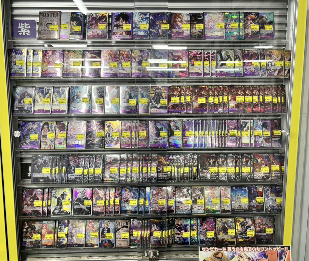 🏴‍☠️傷あり特価情報🏴‍☠️】 15弾環境でも活躍間違いなしのカード