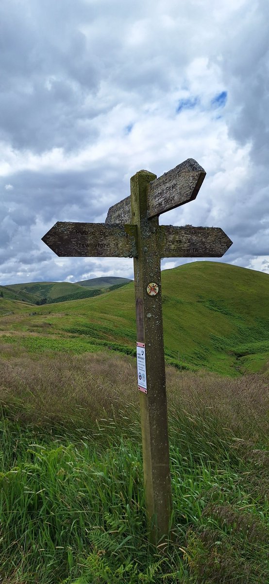 kvtr01's tweet photo. A #fingerpostfriday that looks as old as the hills themselves.
#ClennellStreet ➡️ #BorderRidge ➡️
#CheviotHills ❤️ https://t.co/DZiHT8ficc