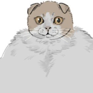 だとう tweet media