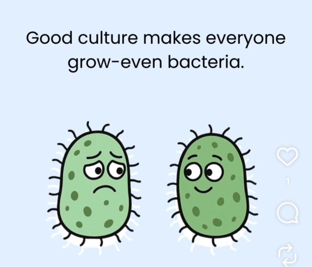 😂 Not exactly the culture that I envisioned, but still.