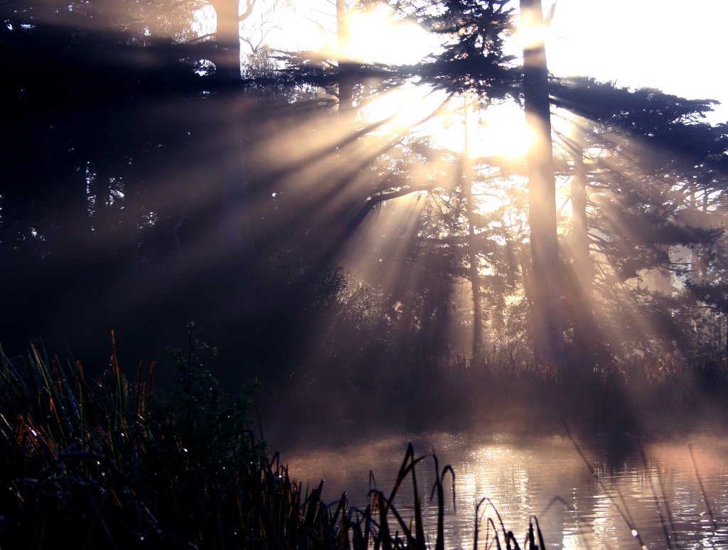 the sun now appears
with #hope and #inspiration 
darkness soon all clears
for #peace and admiration...
#sunrise #richie