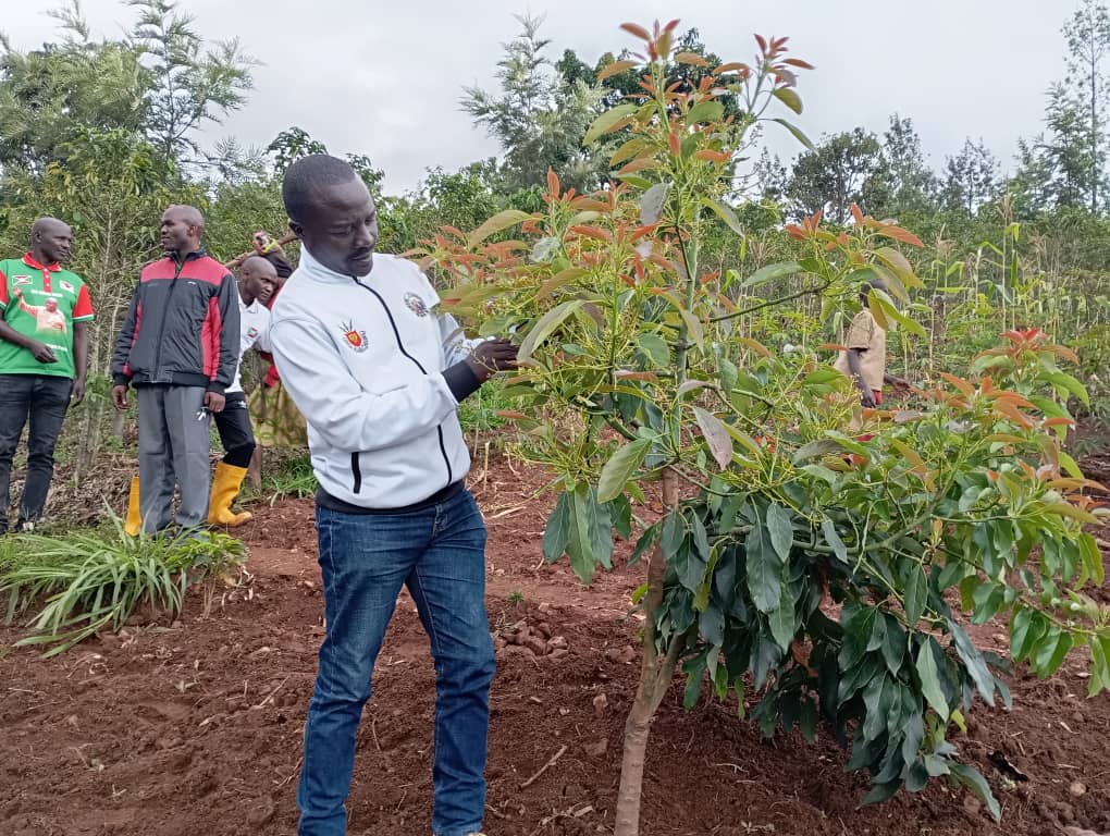 NdayiSimeo79431's tweet image. #Burundi,muri zangendo, umunyamabanga wa @CnddFdd muri commune #Matongo #NdayizeyeBenjamin ariko aragira,ejo le 19/2/2026, ubucimbiri 21 bwa zone #Nyabibuye nibwo bwagendewe, imivyaro y,amavoka #yaruhere igera ku 486123  niy, imaze guterwa. 
@CnddFddButanyer 
@R_Ndikuriyo