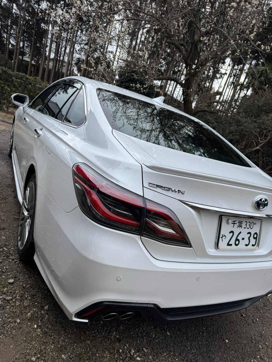 nero🌙 tweet media