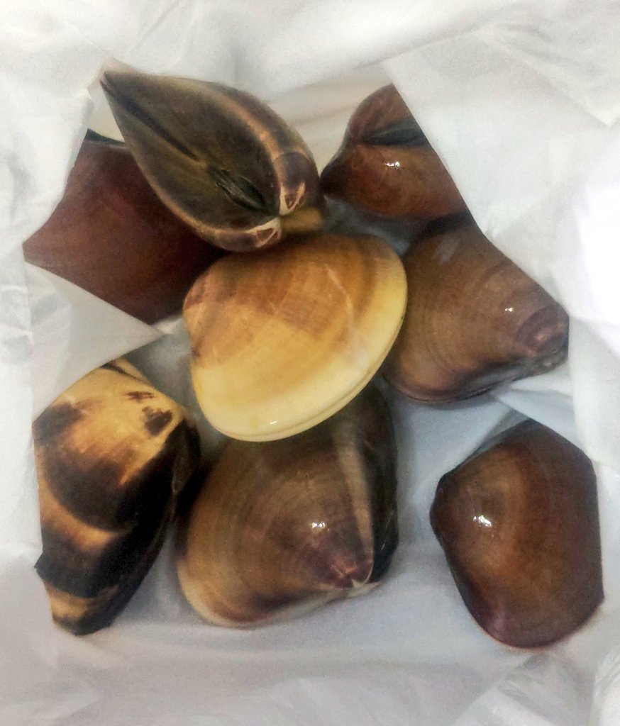 ◇道を歩いていたら蛤を頂ける界隈。(素敵なお姉さま方々には長生きし