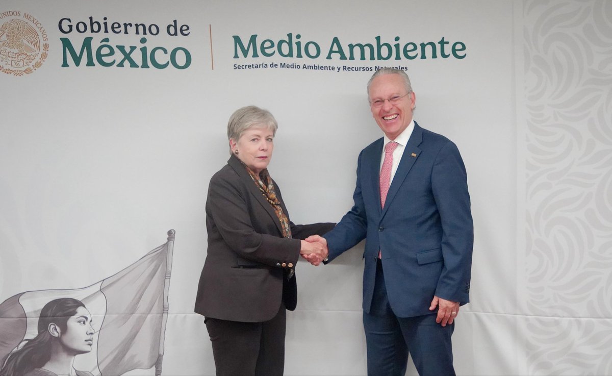 Alicia Bárcena tweet media