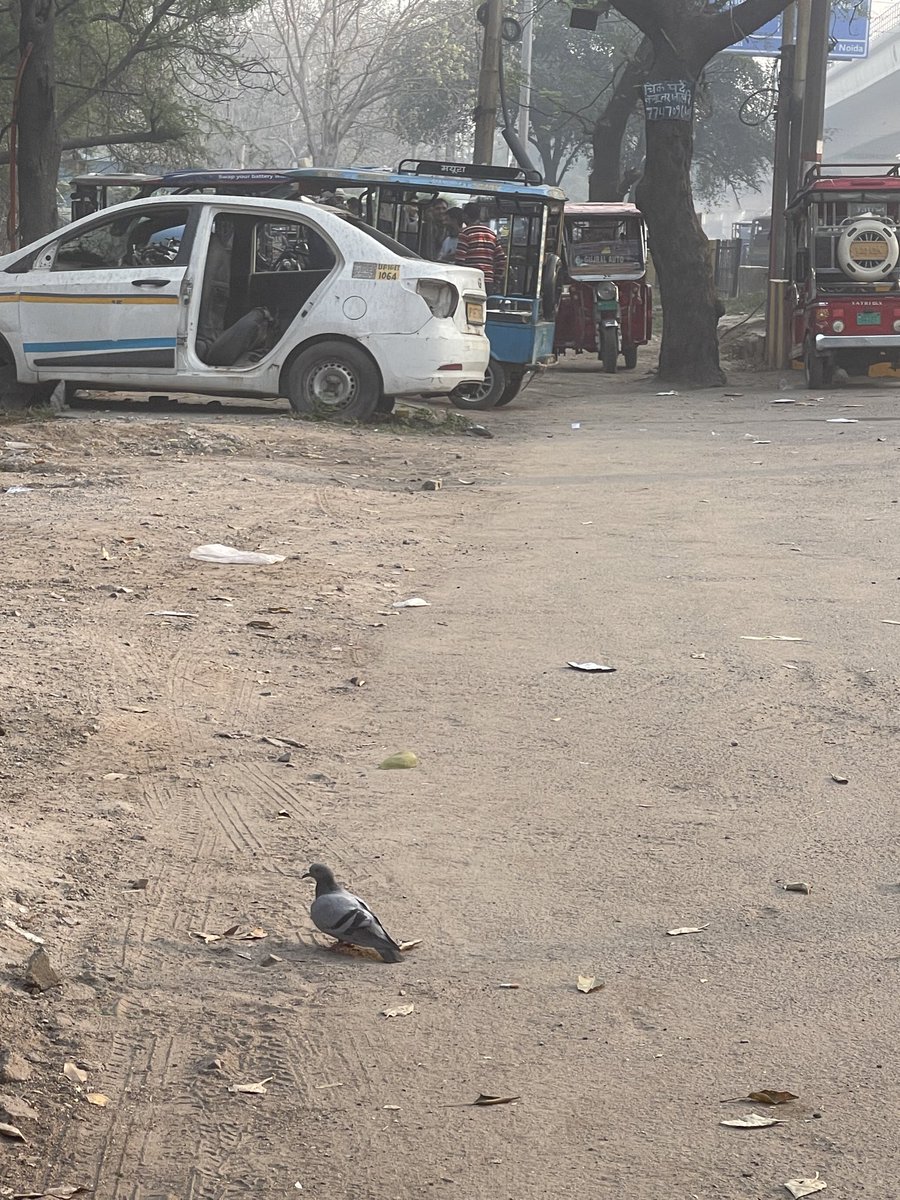 DeAashish's tweet photo. @noida_authority @CeoNoida @ChiefSecyUP @CMOfficeUP @dmgbnagar @dr_maheshsharma @InfoDeptUP @myogiadityanath @NandiGuptaBJP @PankajSinghBJP @UPGovt @Noidatraffic Today also same situation https://t.co/rHc60E8ODc
