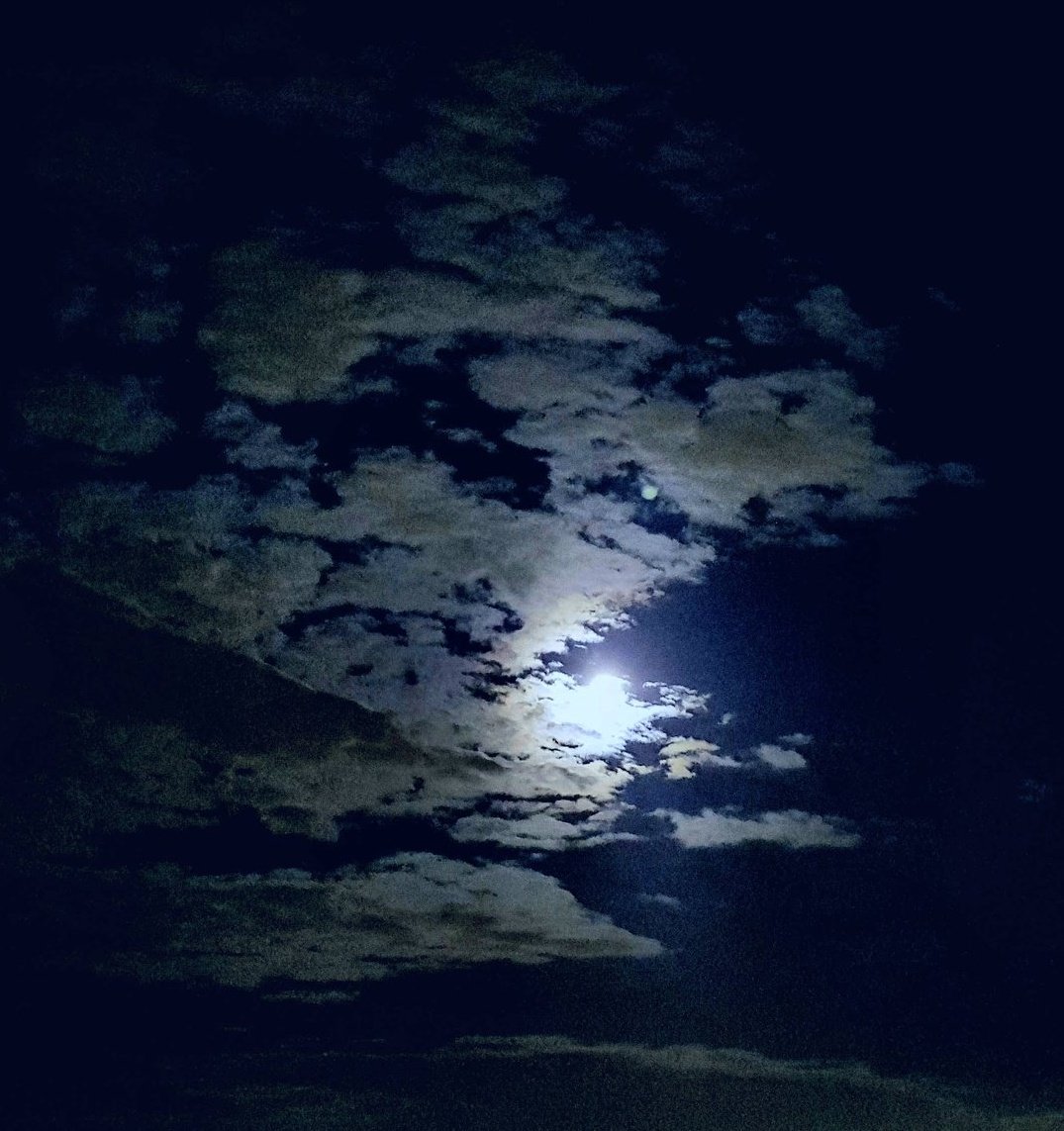 Laetitia Portal (@laetitiawilfert) on Twitter photo 